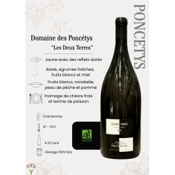 SAINT-VÉRAN LES DEUX TERRES Domaine des Poncetys