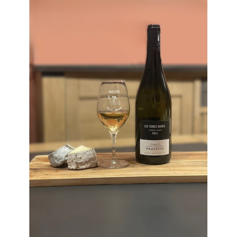 SAINT-VÉRAN LES TERRES NOIRES Domaine des Poncetys